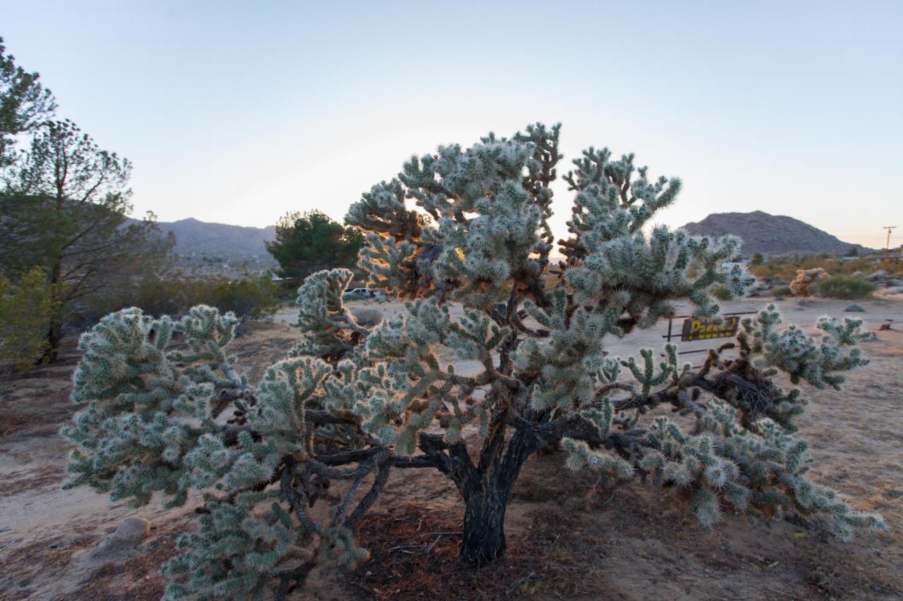 @ Marbella Lane - 10 Acres Oasis Desert Retreat! Joshua Tree Luaran gambar